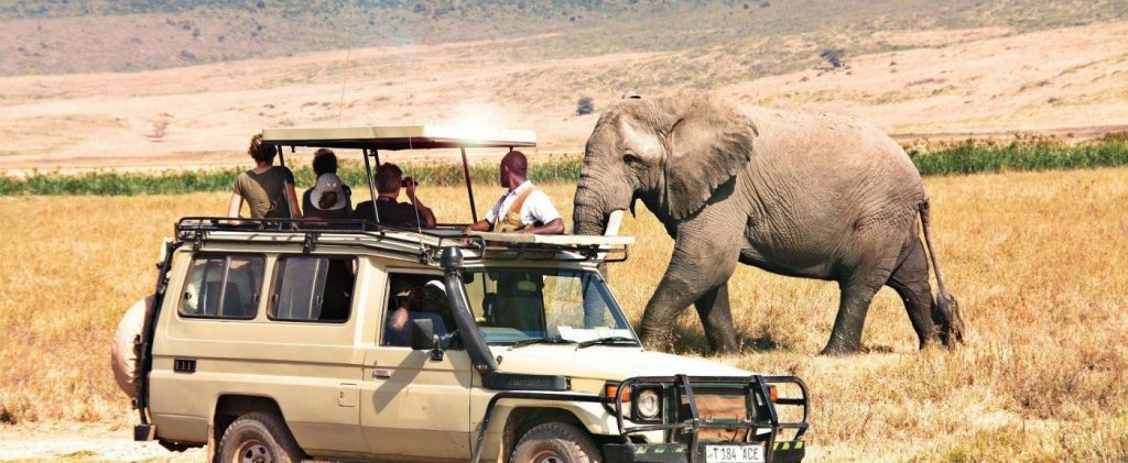 Tanzania Safari, the things you must do in Tanzania