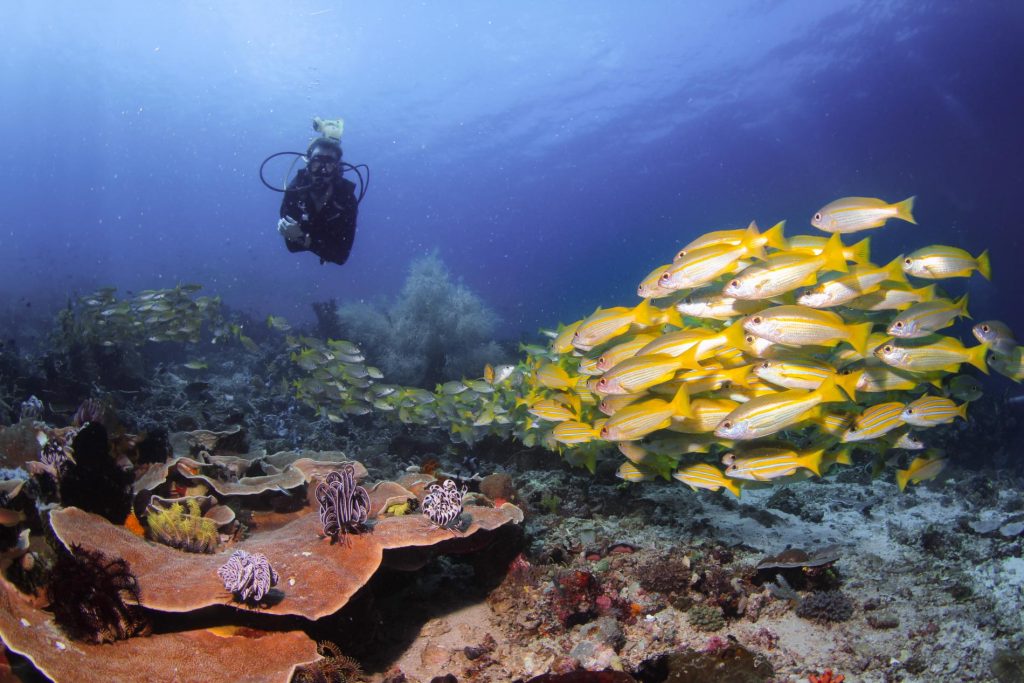 the most adventurous things to do in Indonesia