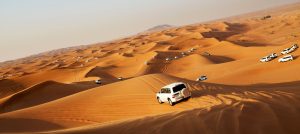 Desert Safari - Dubai Travel Guide