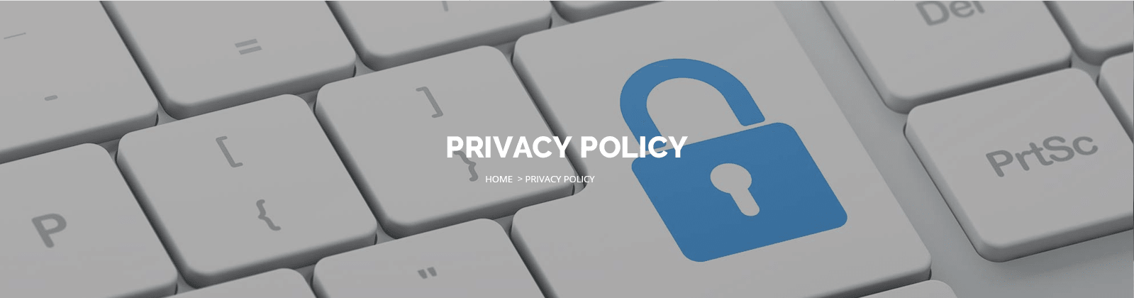 privacy policy carsirent